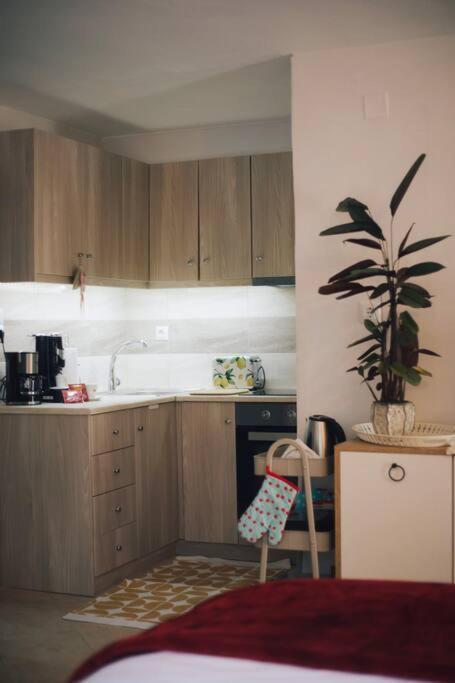 Ferienwohnung Το Σπίτι Της Ευτυχίας Στούντιο Karpenísion Exterior foto